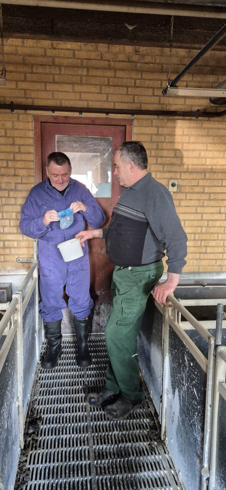 Foto: Tenna Bang, LandbrugNord Foto: Tenna Bang, LandbrugNord